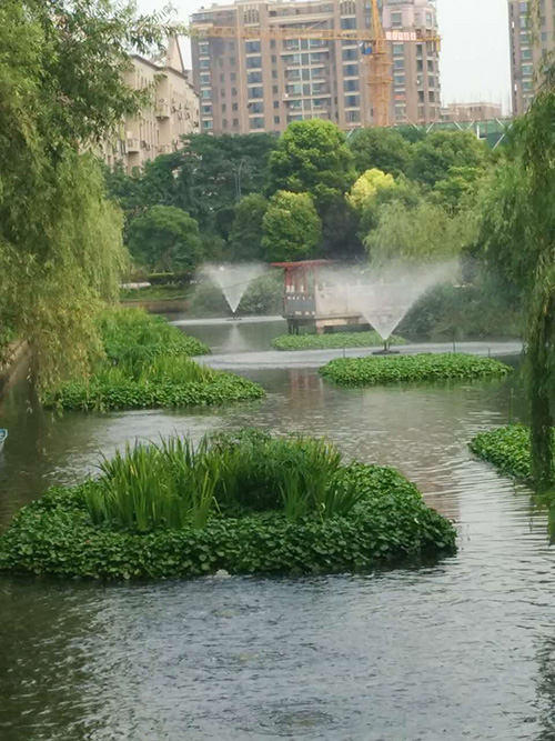 沉水式鼓91香蕉污视频-河道治理