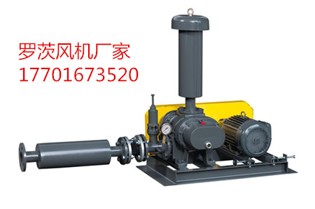 羅茨鼓91香蕉污视频