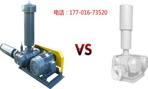 羅茨91香蕉污视频.jpg