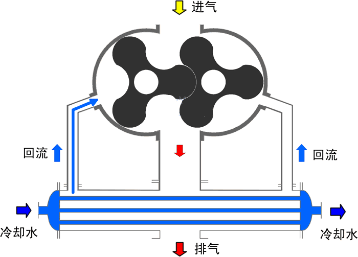 羅茨鼓91香蕉污视频是什麽
