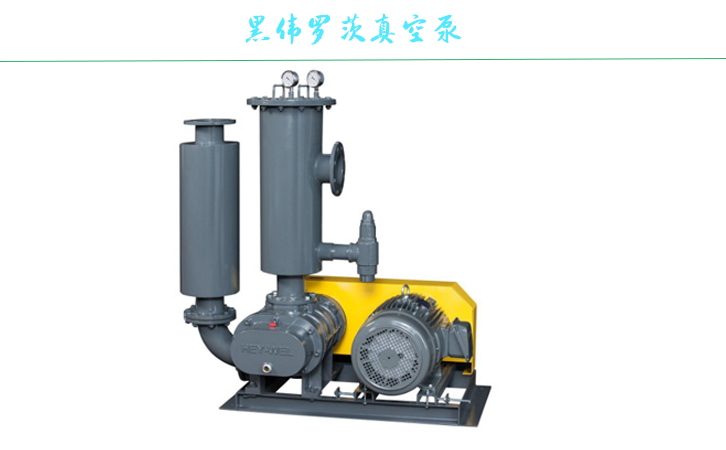 上海香蕉视频2020羅茨真空泵